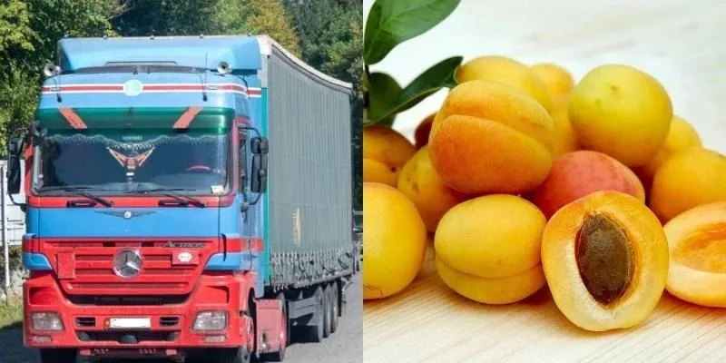 Армения меняет курс: как отказ от российского рынка влияет на экономику