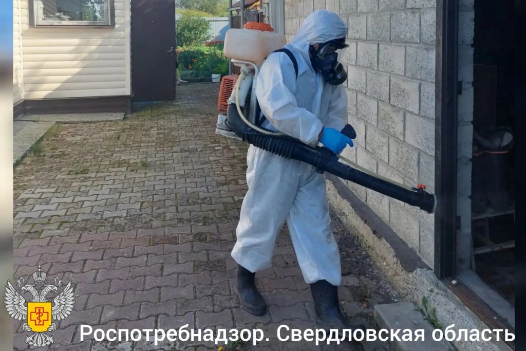 В пострадавших от наводнения районах продезинфицировано 522 дома и 296 выгребных ям (ФОТО)