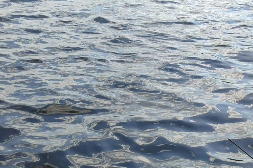 Двое сапбордистов погибли на водоемах Тамбовской области