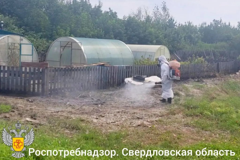 В пострадавших от наводнения районах продезинфицировано 522 дома и 296 выгребных ям (ФОТО)