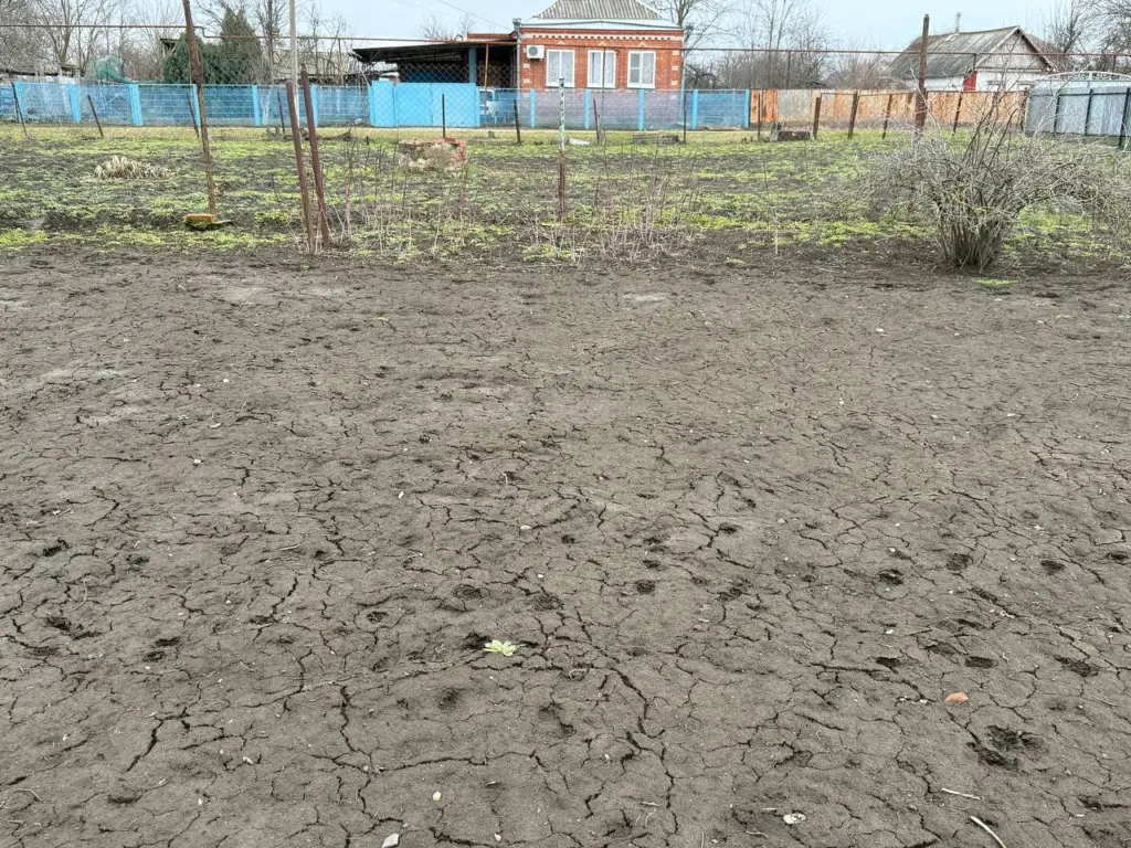 Эффективные способы сохранить плодородие почвы на даче без химикатов