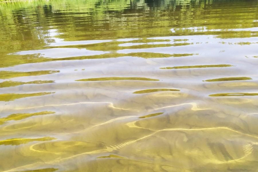 На Котовском водохранилище спасли тонущего мужчину На Котовском водохранилище спасли тонущего мужчину