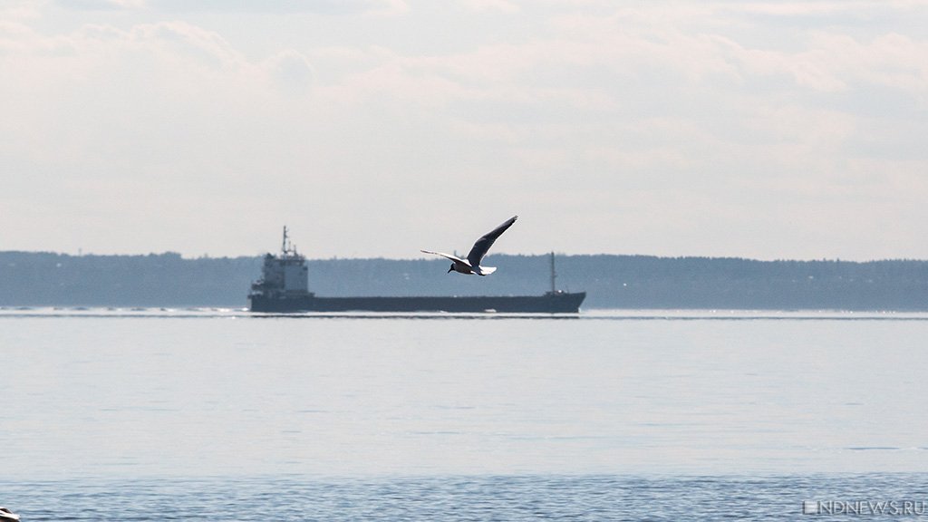 Морские поставки военных грузов НАТО на Украину остановились