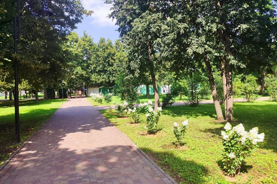 Сентябрь в Тамбовской области начнётся с летнего тепла до +30°C Сентябрь в Тамбовской области начнётся с летнего тепла до +30°C