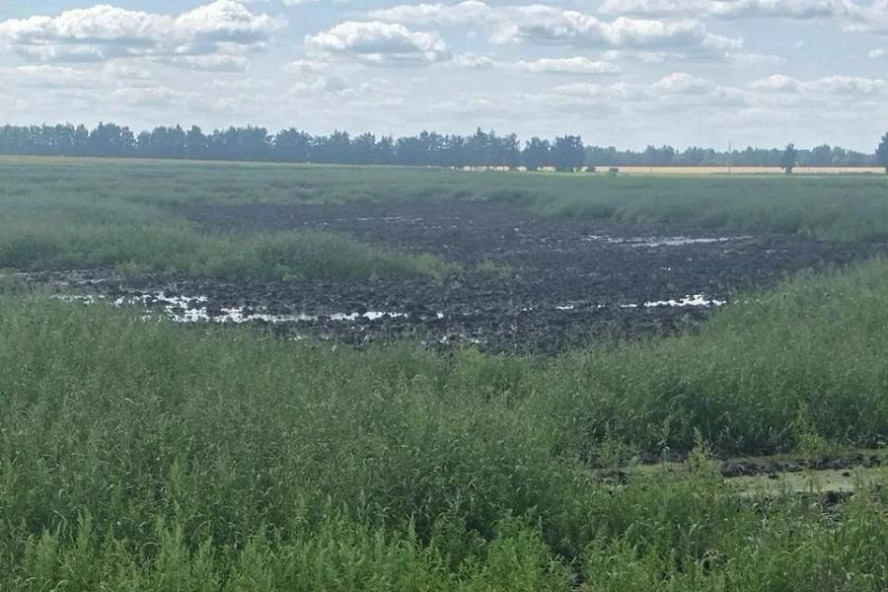 В реке Лесной Тамбов зафиксирован замор рыбы