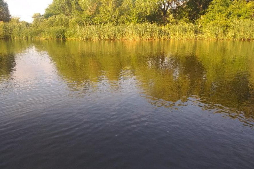 На шести пляжах Тамбова выявлены нарушения качества воды На шести пляжах Тамбова выявлены нарушения качества воды
