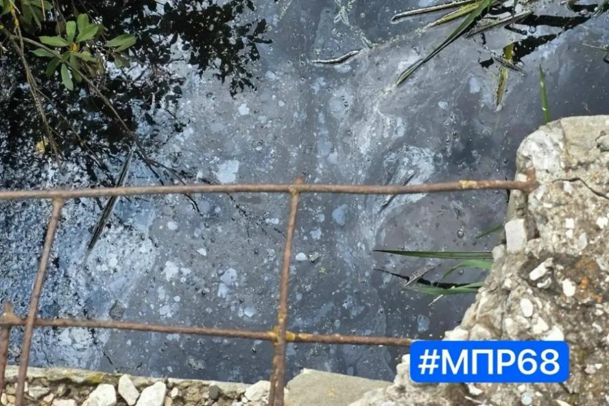Жители Тамбовского округа пожаловались на загрязнение реки Мазовка Жители Тамбовского округа пожаловались на загрязнение реки Мазовка