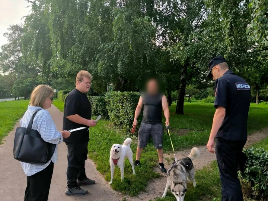 В Тамбове проверили соблюдение правил выгула домашних животных В Тамбове проверили соблюдение правил выгула домашних животных