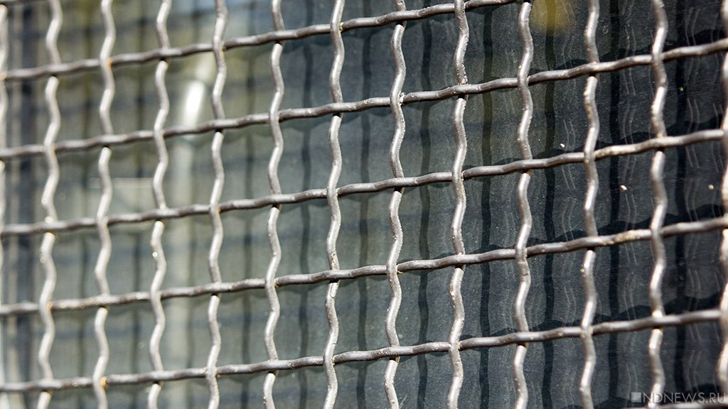 Двух жителей Германии отправили в тюрьму за нарушение санкций против России