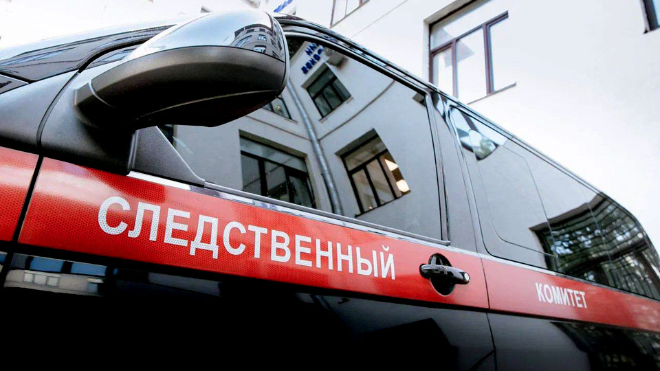 СК возбудил дело после гибели младенца и его матери в аэропорту Шереметьево
