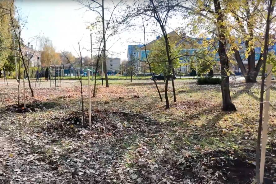 В сквере Еремеева в Лётке высадили саженцы остролистного клёна